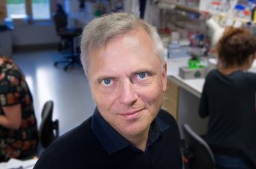 A new sensory organ is identified in our skin that informs us of puncture pain a-new-sensory-organ-is-identified-in-our-skin-that-informs-us-of-puncture-pain