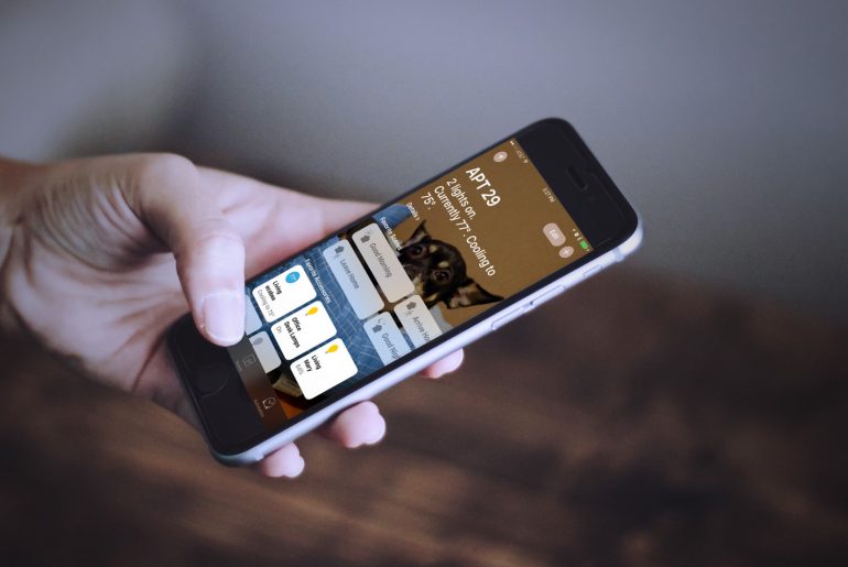 Don’t Leave Your Dog In the Dark