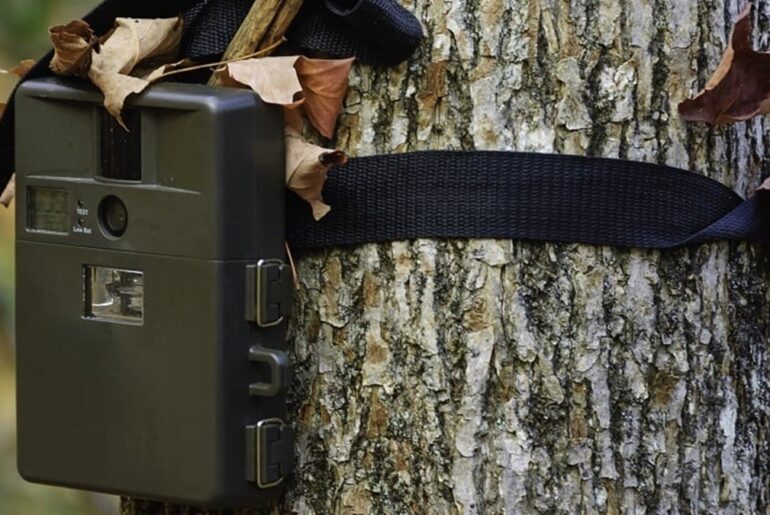 Who needs a Trail Camera and What are its Benefits?