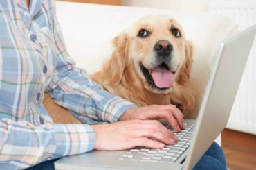 Everything You Need to Know About Pet Insurance Everything You Need to Know About Pet Insurance