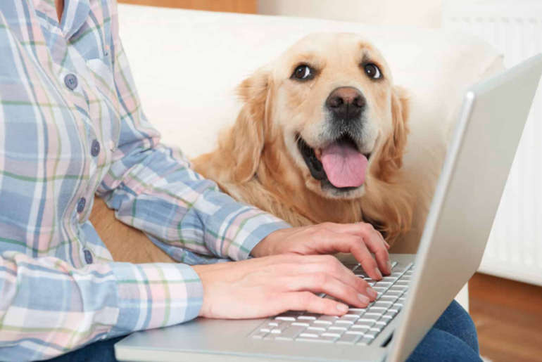 Everything You Need to Know About Pet Insurance
