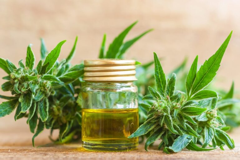 Start a Cannabidiol business
