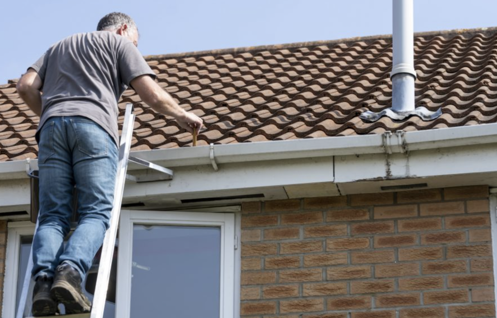 5 Reasons to Keep Your Roof Maintained All Year Round