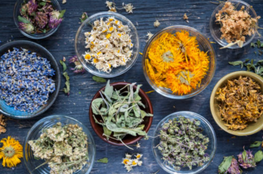 The Disadvantages of Dry Herb