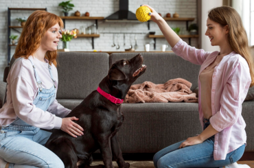 Can You Have Pets in a Condo?