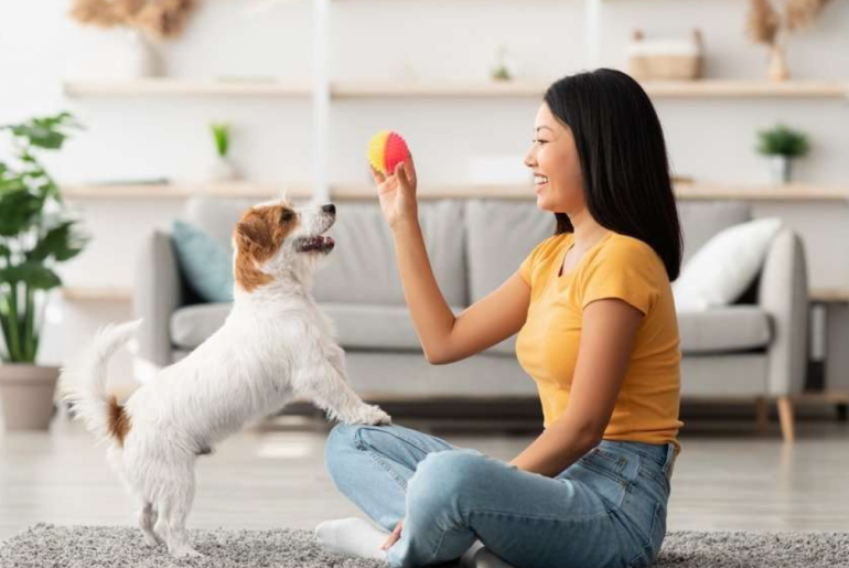 The Role of Pets in Improving Your Lifestyle The Role of Pets in Improving Your Lifestyle