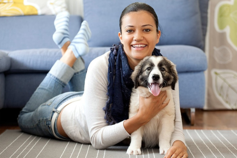 5 Reasons Why You Should Adopt a Pet 5 Reasons Why You Should Adopt a Pet