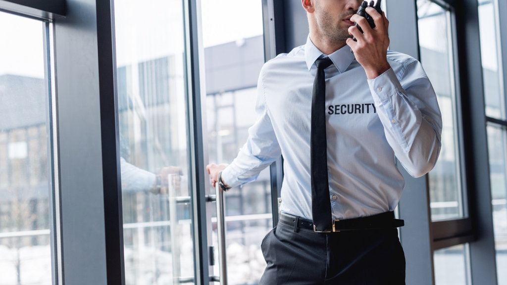 Why Trained Security Personnel Outperforms DIY Security Systems
