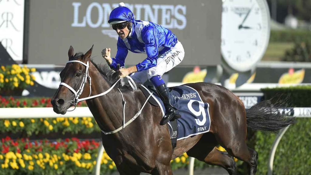 How to Use Queen Elizabeth Stakes Tips to Improve Your Wagers