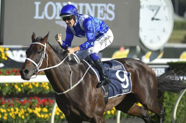 How to Use Queen Elizabeth Stakes Tips to Improve Your Wagers How to Use Queen Elizabeth Stakes Tips to Improve Your Wagers