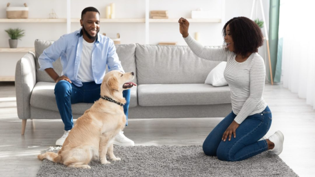 6 Most Useful Commands Condo Dwellers Should Teach Their Pets