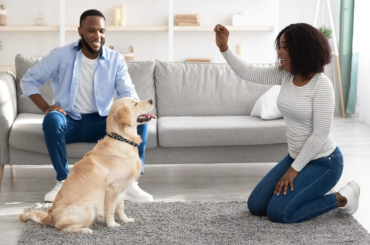 6 Most Useful Commands Condo Dwellers Should Teach Their Pets