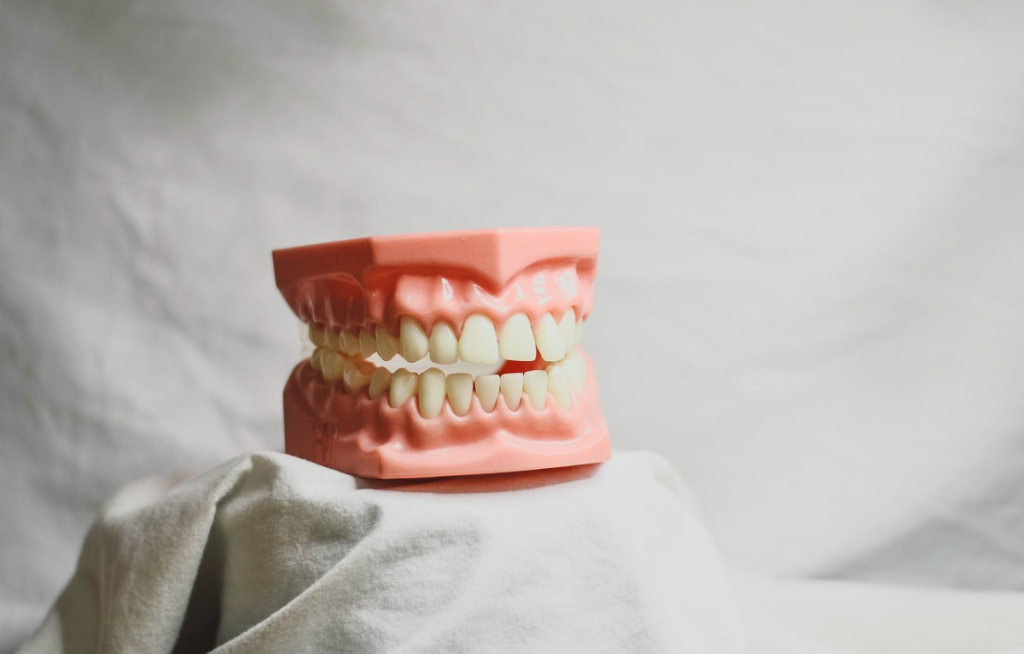 teeth