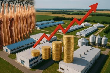 Large-scale meat and poultry production facility showcasing Carmistin’s advanced processing operations